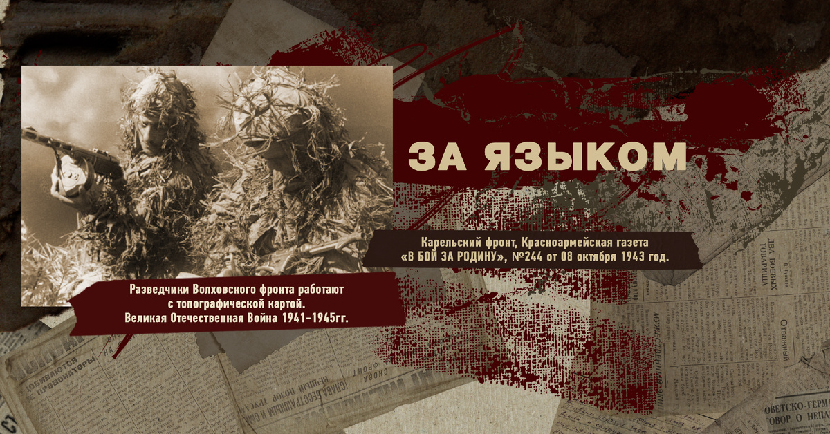 Великая Отечественная Война 1941-1945, Карельский фронт, Строки фронтовые, РУДН ПОИСК