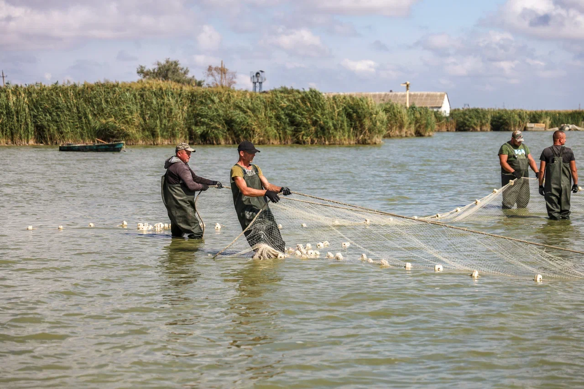    Фото: ТРК «Таврия»