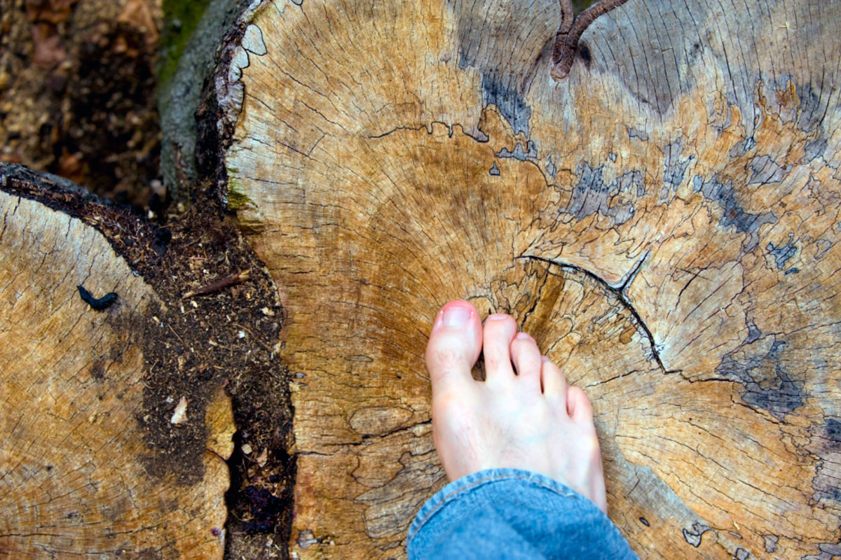 Теория хаоса объясняет, как малейшие изменения могут привести к грандиозным последствиям