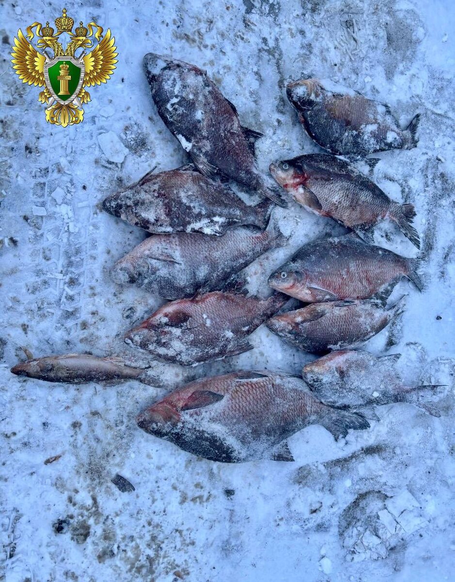 Фото: предоставлены прокуратурой Челябинской области