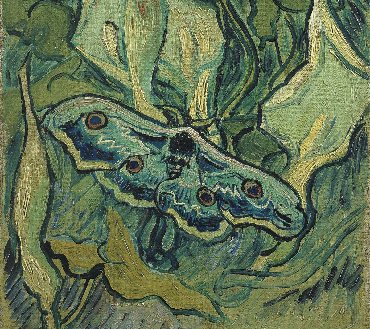 «Большая бабочка Павлиний Глаз» Винсент Ван Гог (фрагмент картины)