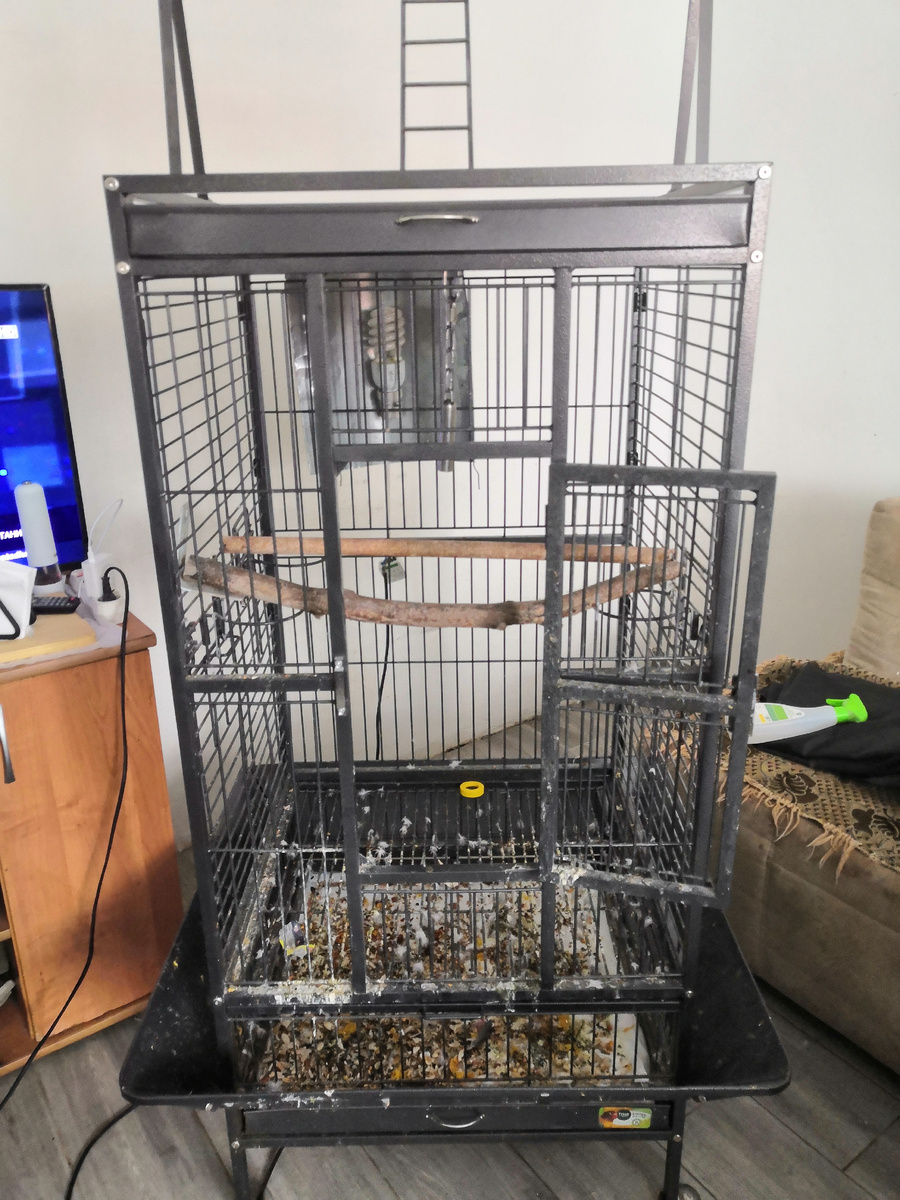 Загадились конкретно!