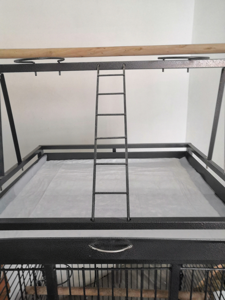 Верх клетки