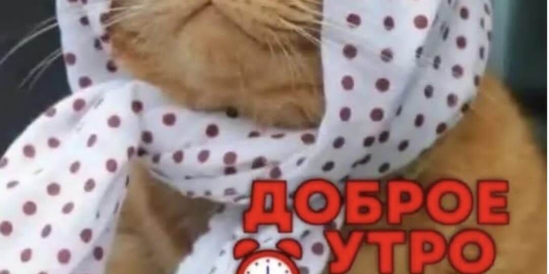 Безпредел в доме для престарелых. Продолжение.