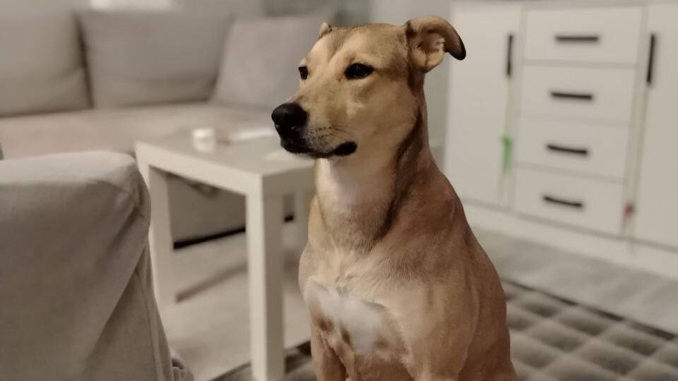 Ещё немного позитива 😀 Хотя нет, кому мы врём? Много позитива