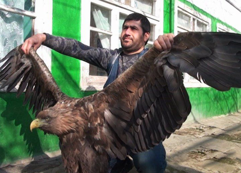 Когда пытаешься поддержать друга с кризисом среднего возраста. 