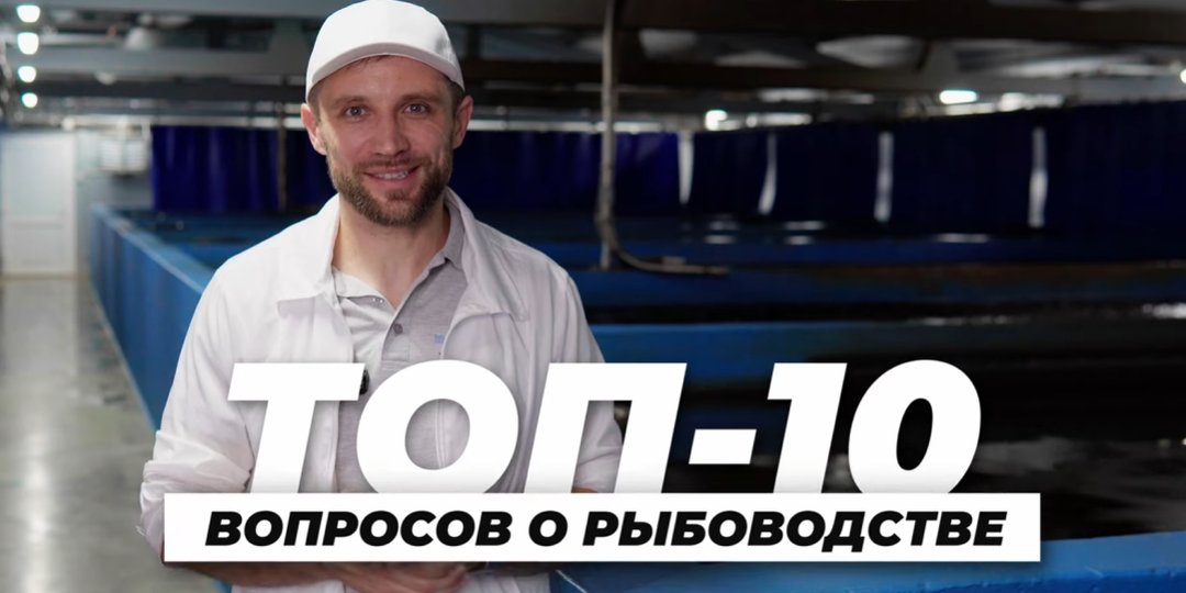 ТОП-10 вопросов про ферму УЗВ и рыбный бизнес.