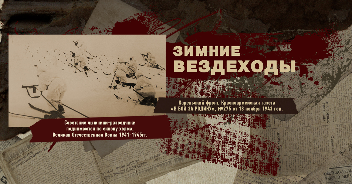 Великая Отечественная Война 1941-1945, Карельский фронт, Строки фронтовые, РУДН ПОИСК