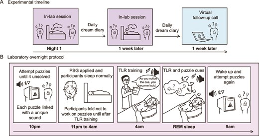 Схема эксперимента. (A) Обзор экспериментальной хронологии для большинства участников. (B) Каждая лабораторная сессия имела идентичную процедуру, за исключением того, что использовались разные головоломки. Осознанные сновидения вызывались с помощью целенаправленной реактивации осознанности (TLR).