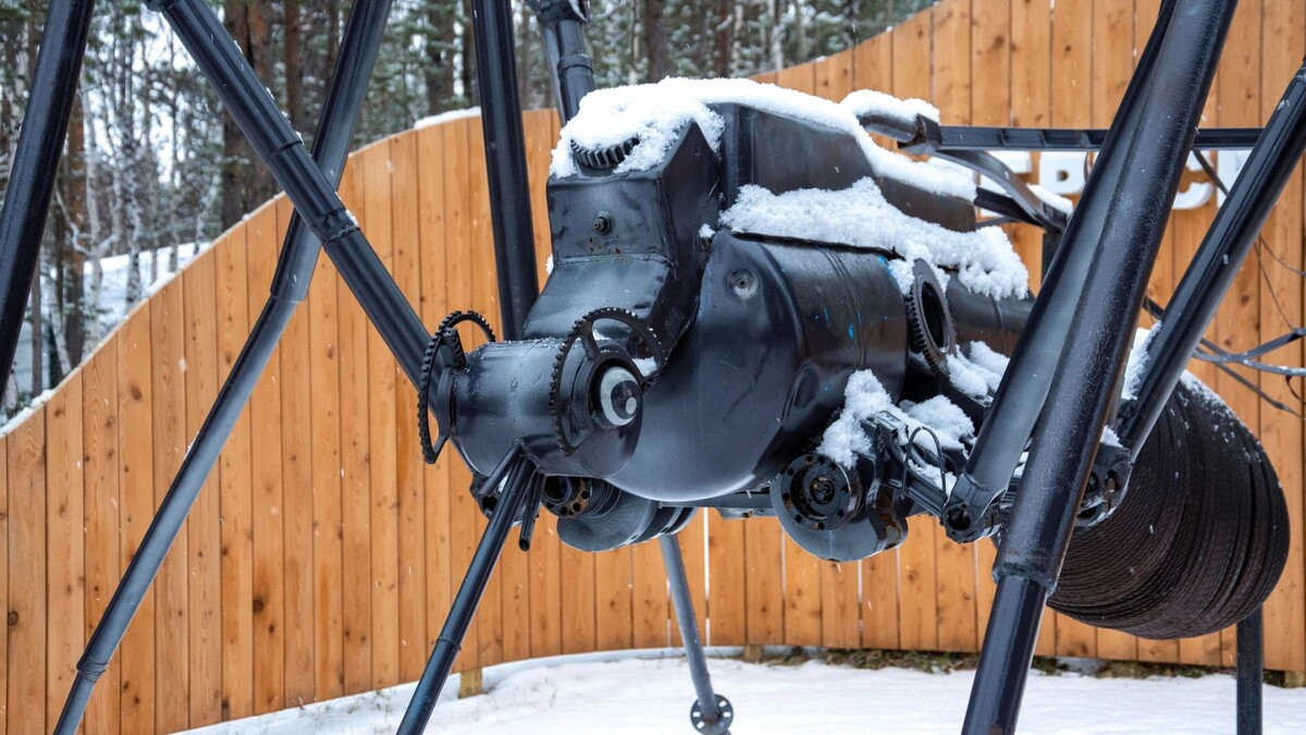    Фото: Юрий Здебский/«Ямал-Медиа»