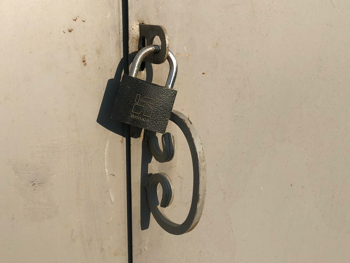 Фото: Neva.Today