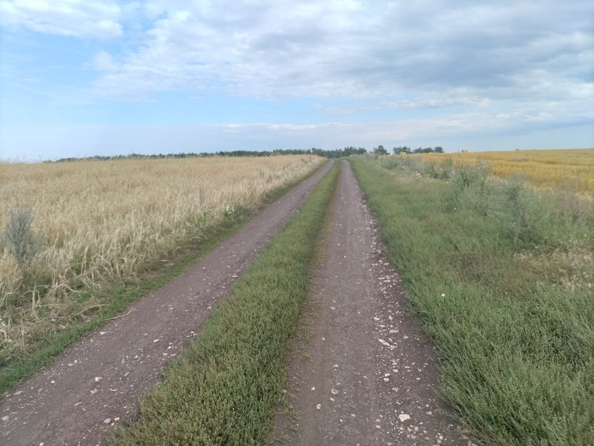 Фото автора.