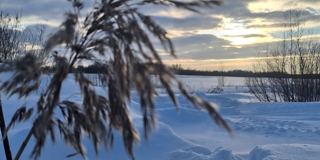 Делюсь позитивом. Природа - самый лучший художник. Фотоистория одного зимнего дня
