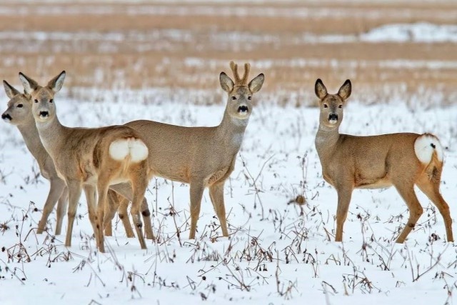   Фото: телеграм-канал Минприроды