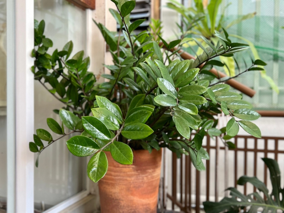    Shutterstock/FOTODOM