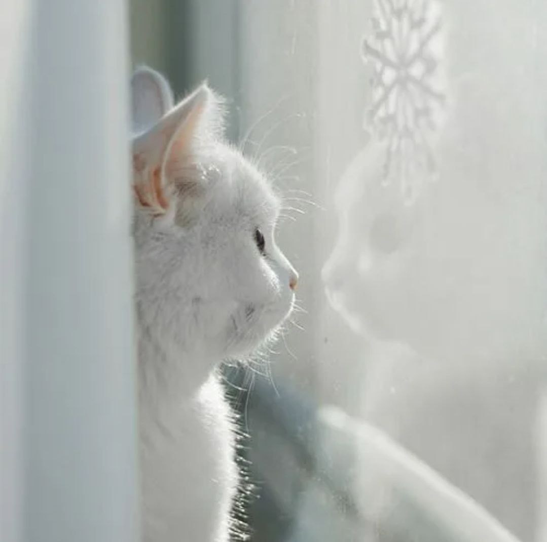 Интересно, о чём он думает?