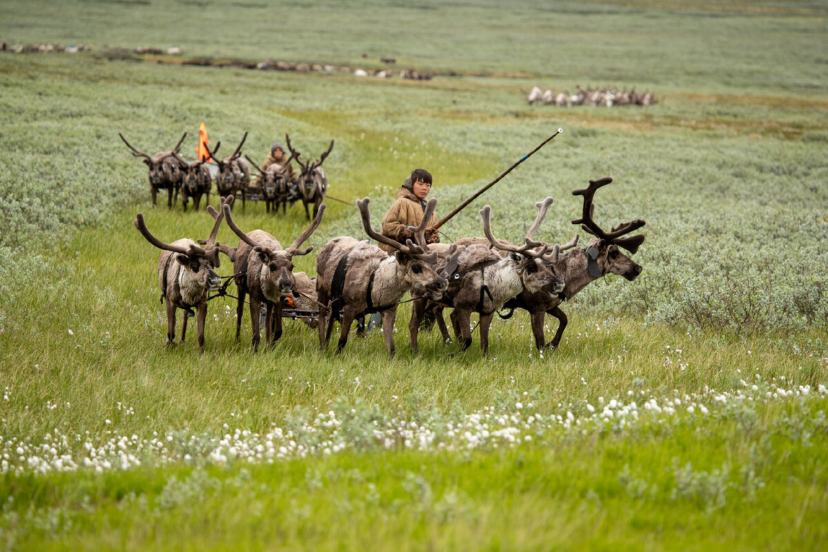 Взято: Яндекс.Картинки