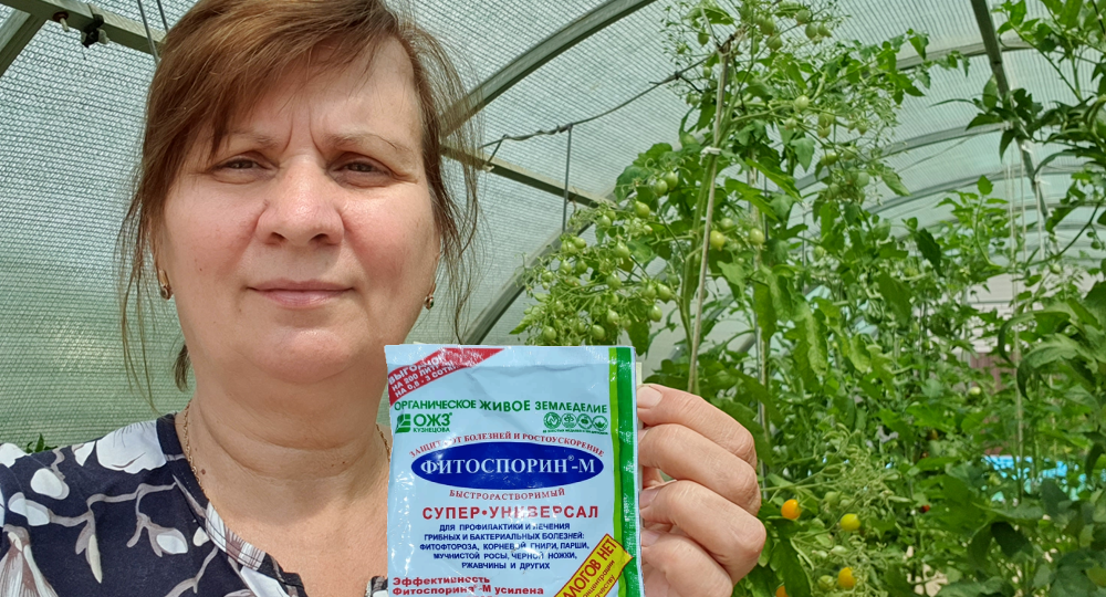 Фитоспорин: инструкция для новичков. Как разводить и хранить без лишних хлопот.