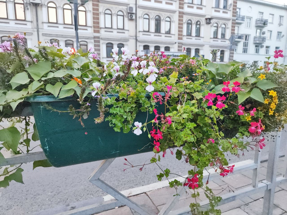 Фото автора.