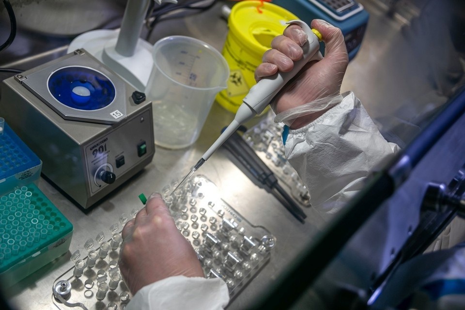    Научное сообщество Красноярского края составляет более 4,8 тысяч человек ИВАНОВА Диана