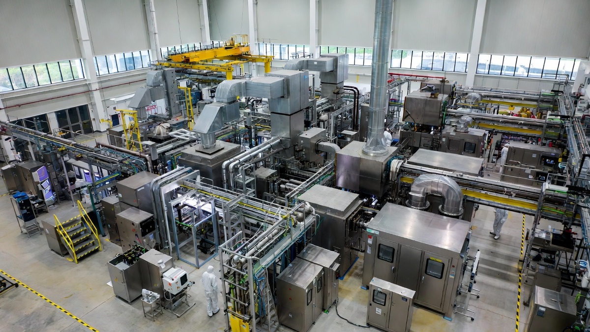 Создано Grok  📷
