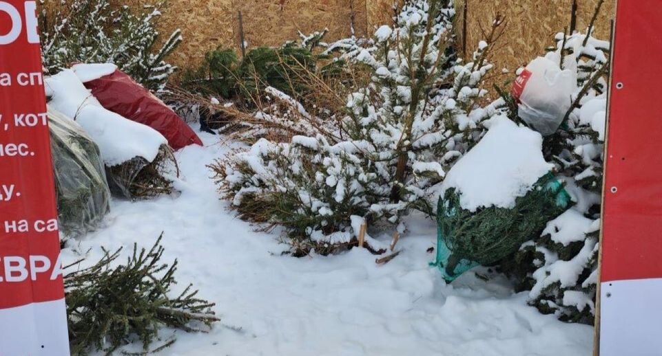    МедиаБанк Подмосковья/Роман Савельев