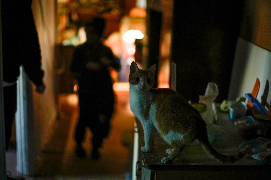    Фото © AP / ТАСС