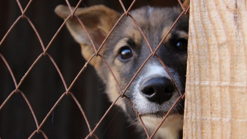    Администрация Среднеуральска