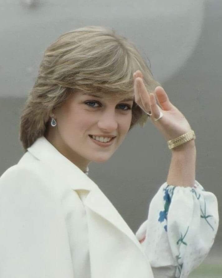 Фото взято из интернета.