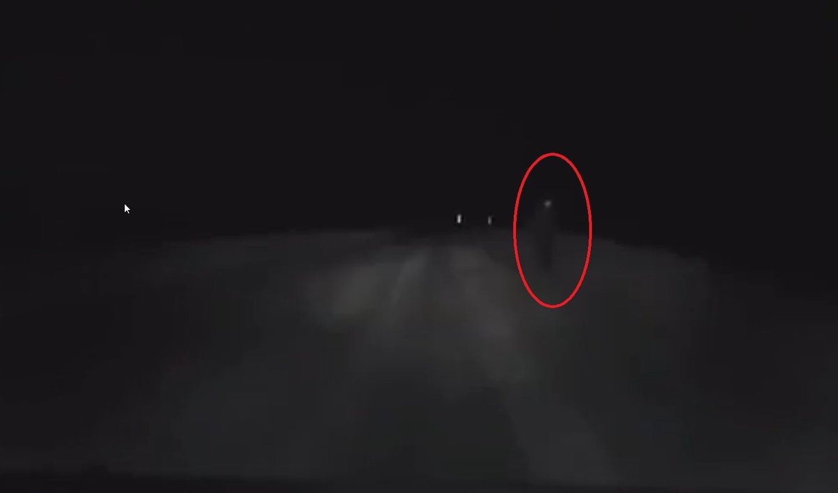 Фото: ГИБДД