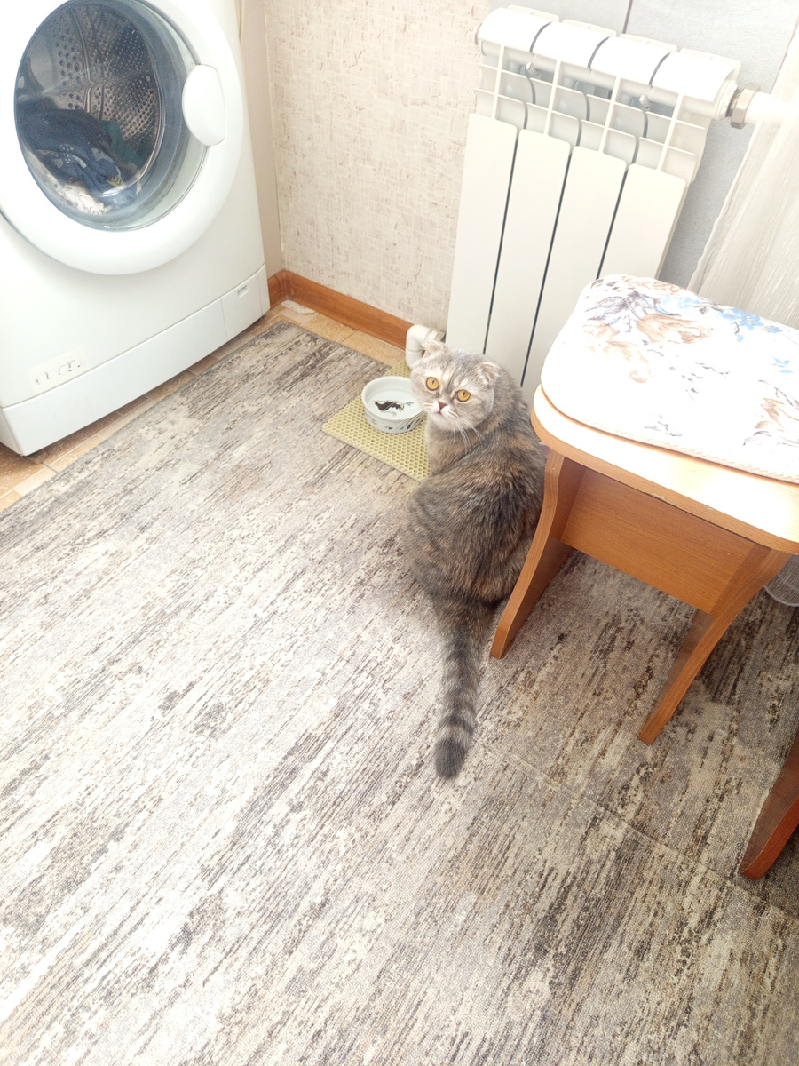 Ну,чего хотела?