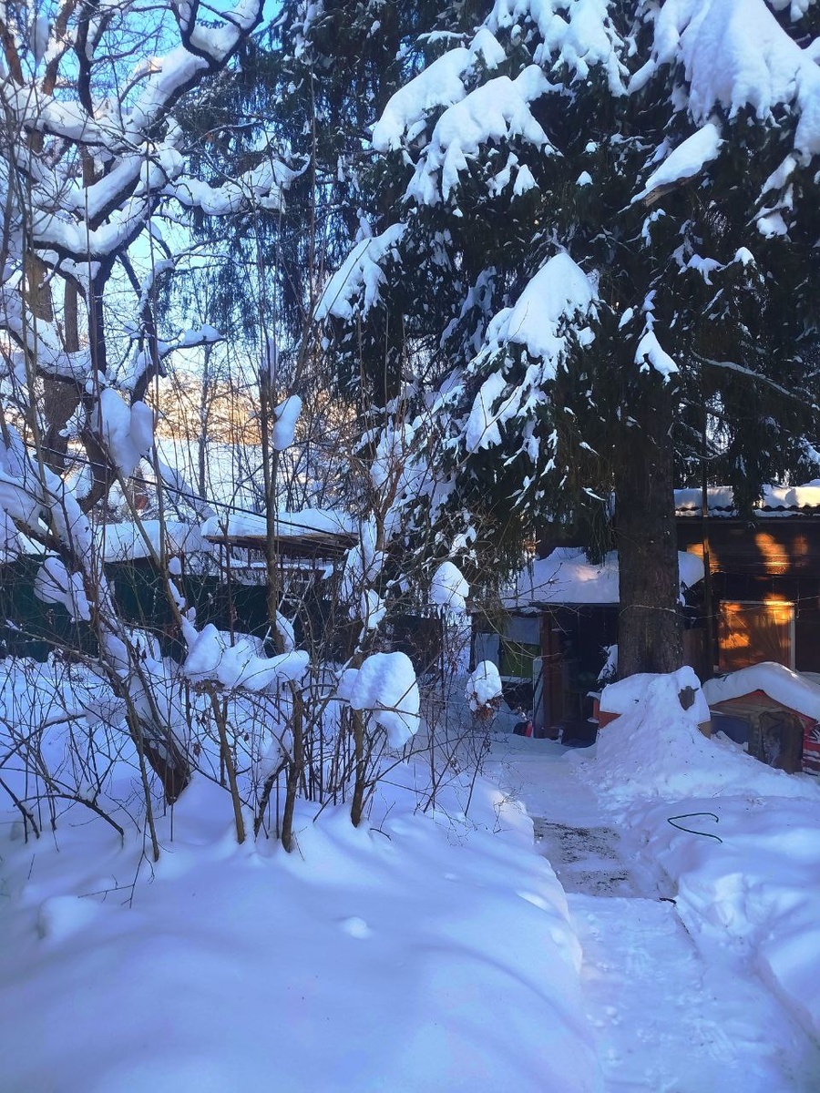 Моя любимая дача