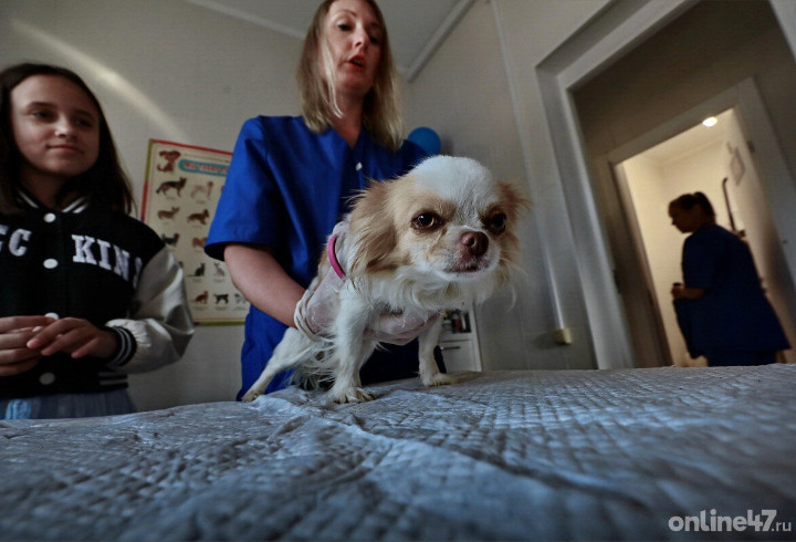 фото: Валентин Илюшин/Online47