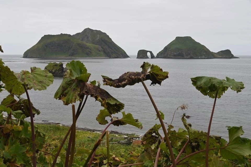    Депутат Новиков: Споры о принадлежности Курильских островов для РФ неприемлемы Владимир ВЕЛЕНГУРИН