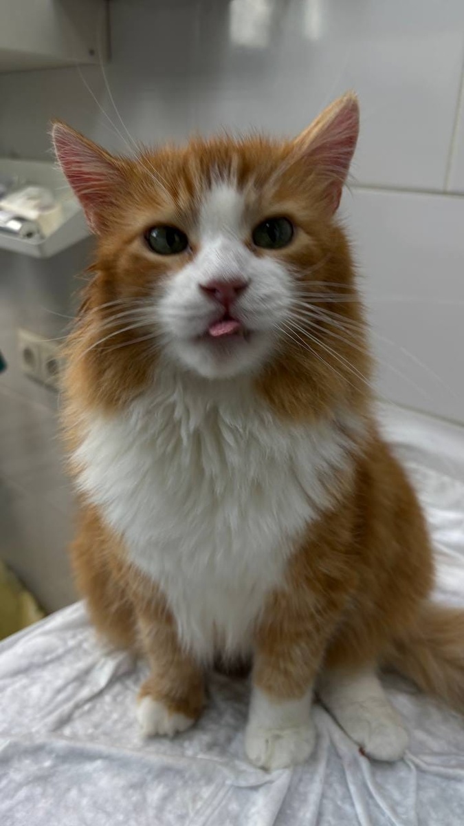 Создать карусель