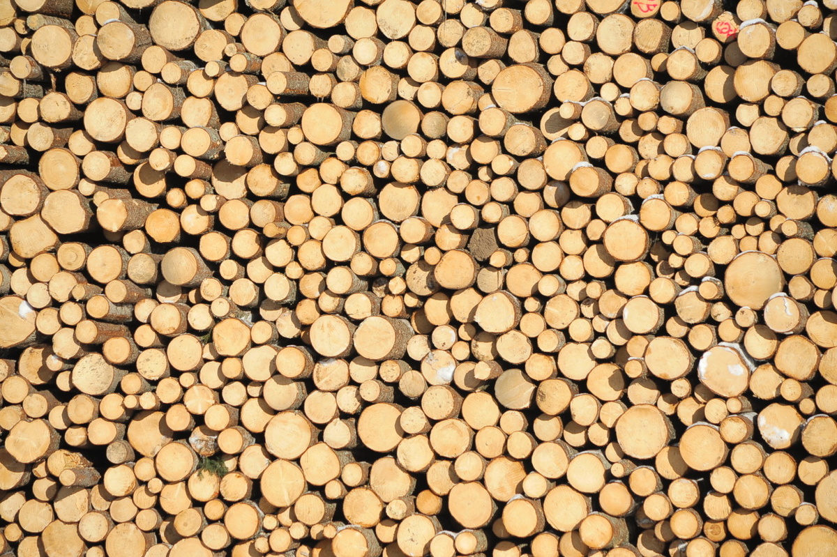    Лесозавод. Фото: "Республика" / Сергей Юдин.