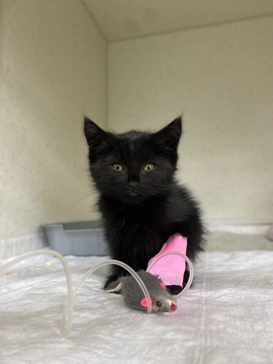 Создать карусель