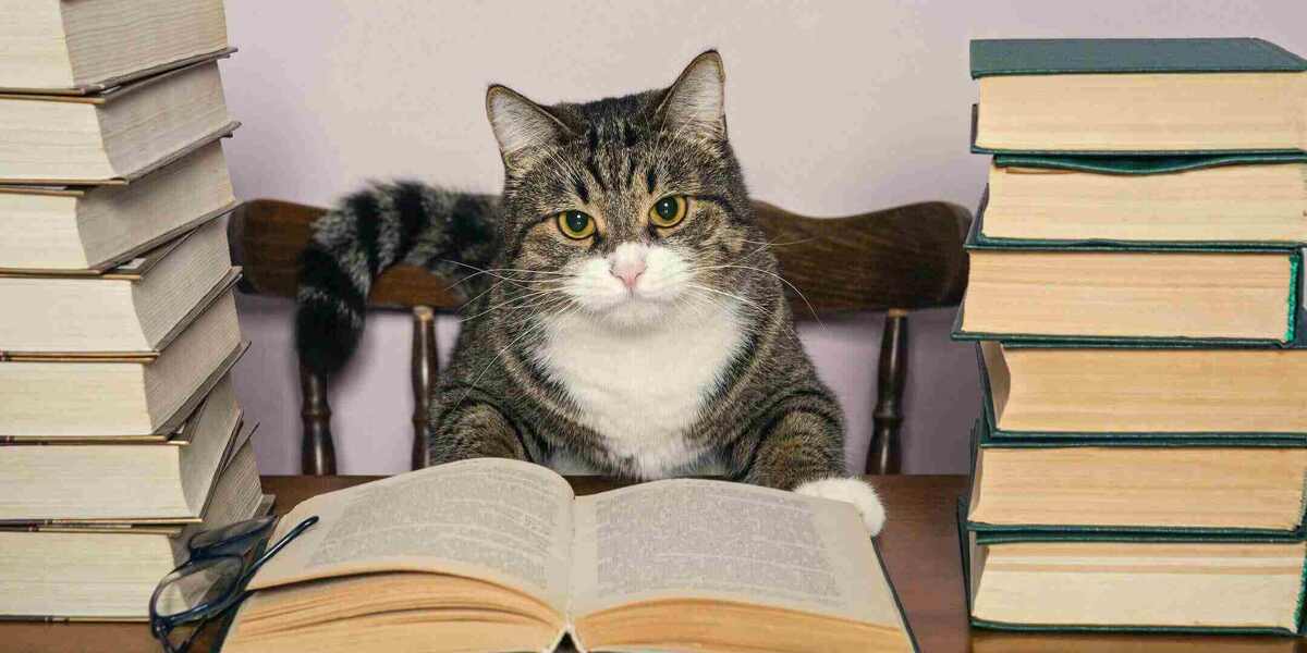 источник Яндекс-картинки