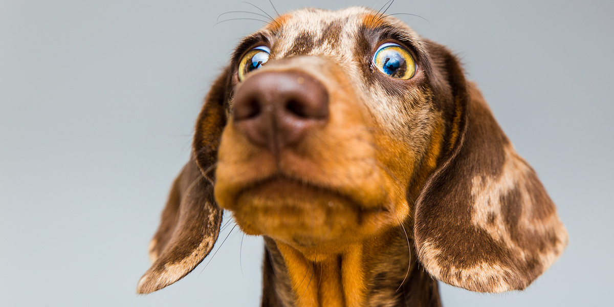 источник фото: https://cdn.lifehacker.ru/wp-content/uploads/2019/08/fu_1600778469.jpg