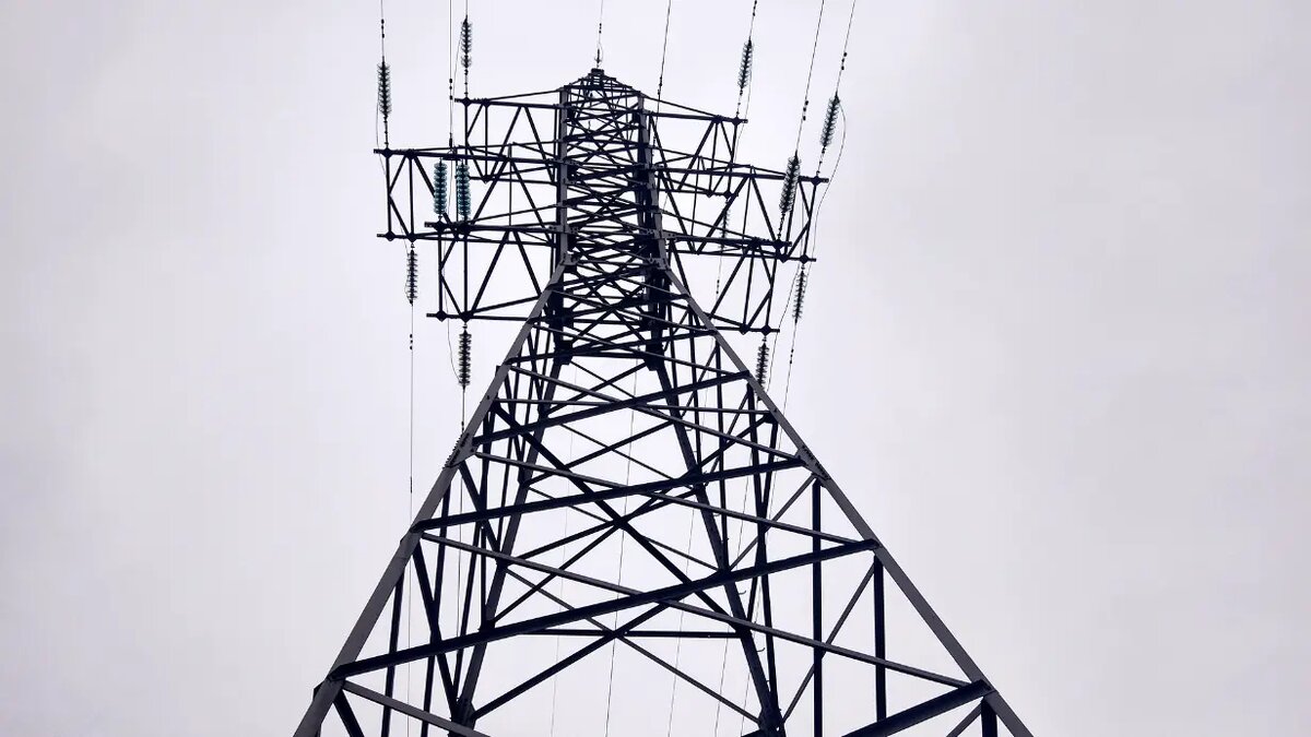    Фото: vm.ru София Васильева