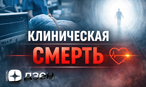 КАНАЛ "VIDOK":YOUTUBE/RUTUBE