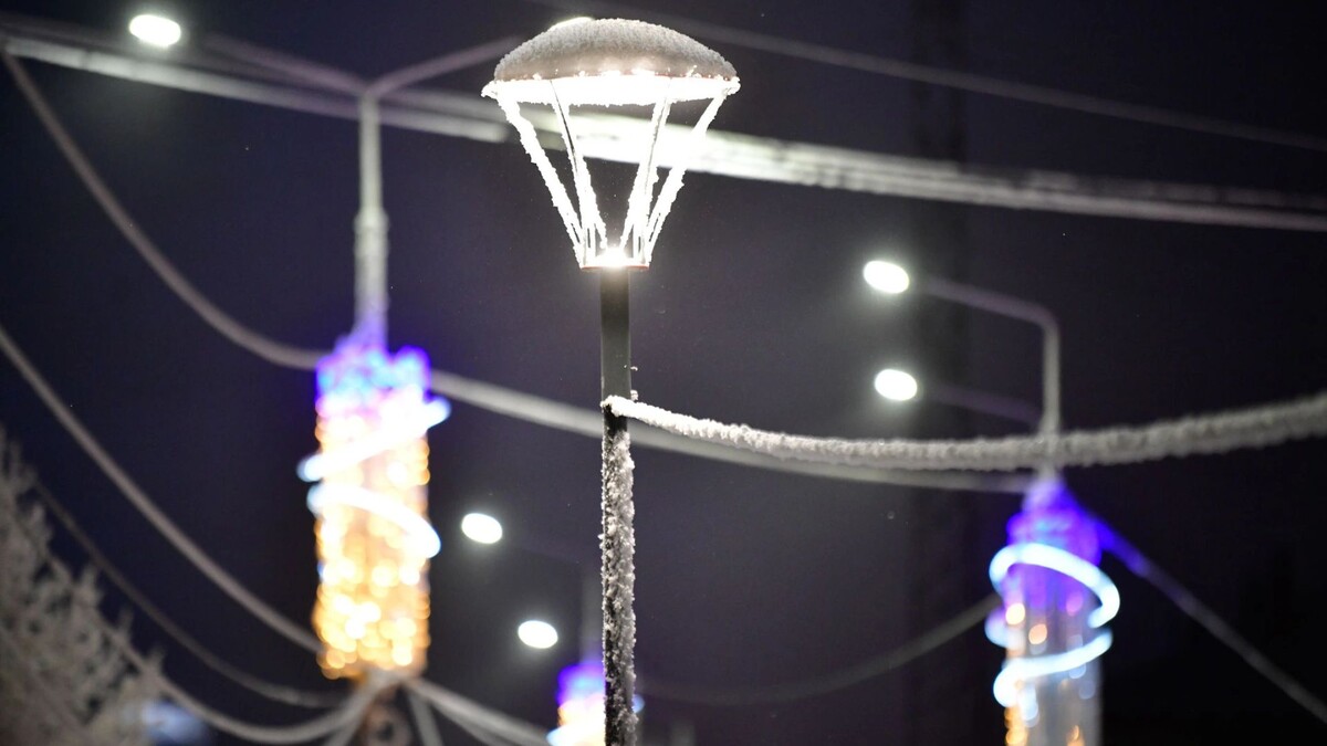    Фото: Андрей Ткачев / «Ямал-Медиа»