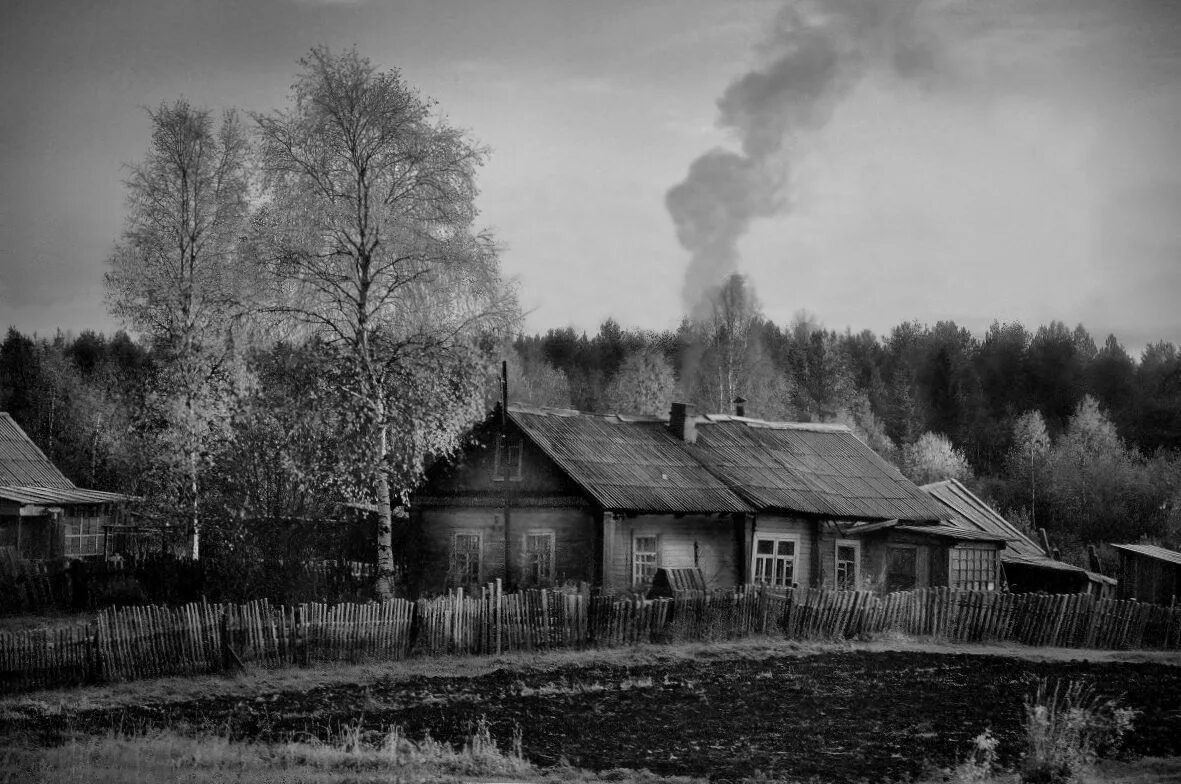 Взято из открытых источников интернета Яндекс.