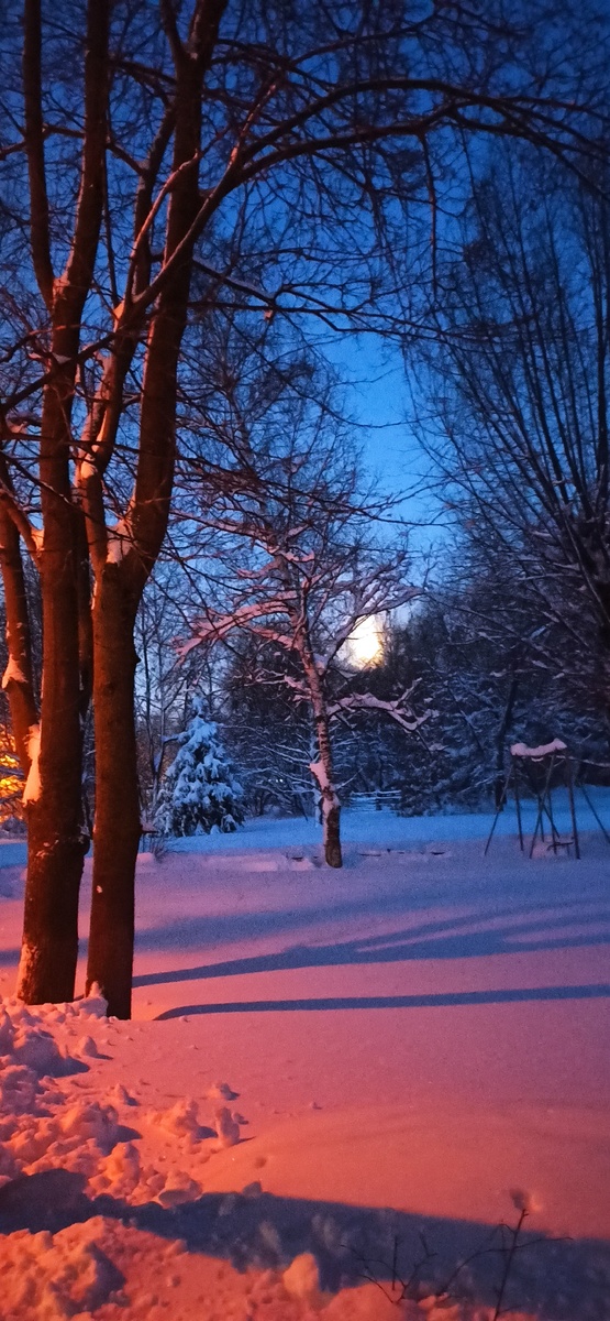 Все фото в статье автора. 