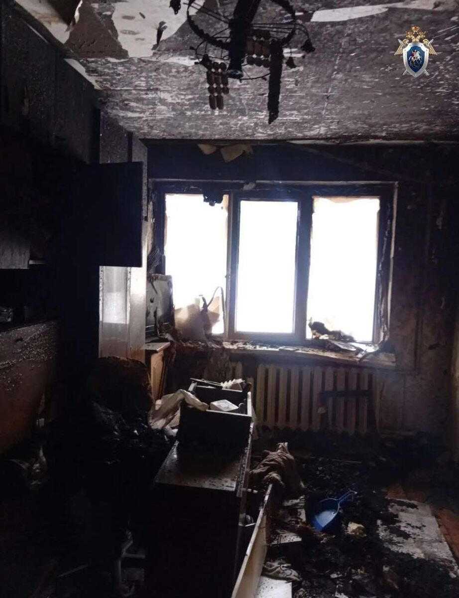    фото: Следком Курской области