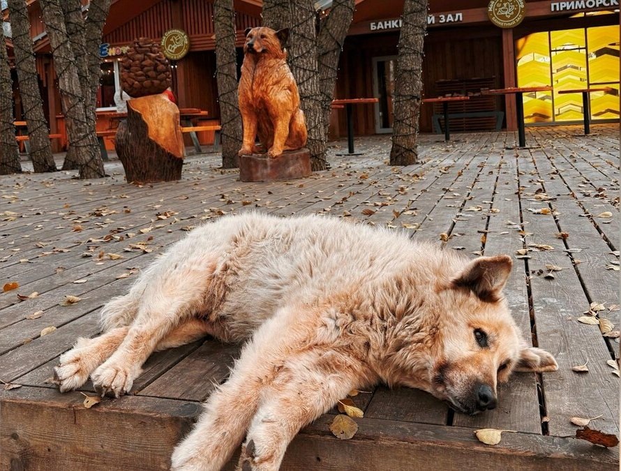 фотография из интернета