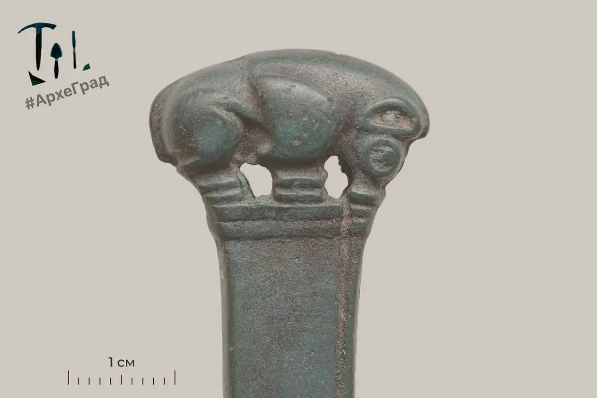    Фото: ГрадВестник