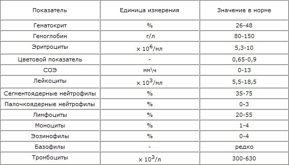 (общий) анализ крови кошки