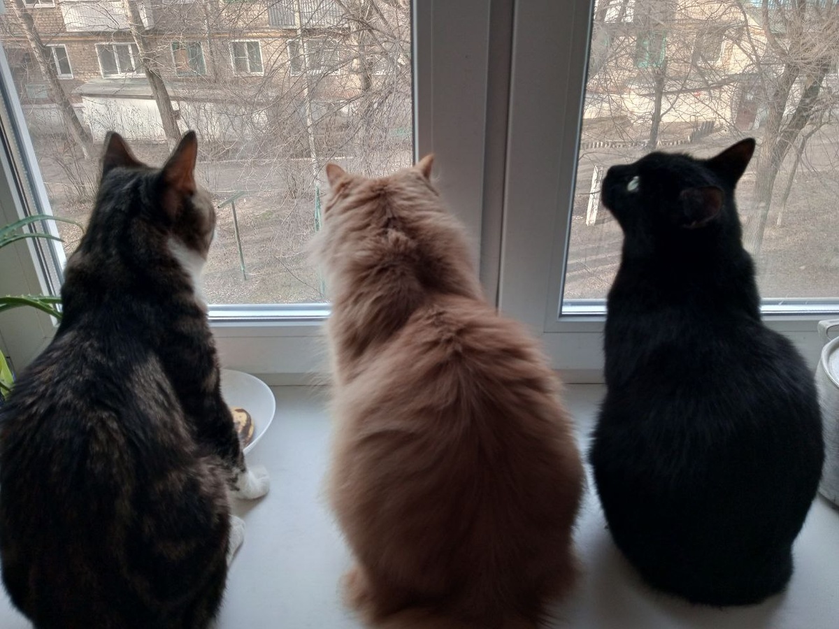 Здравствуй, лето!