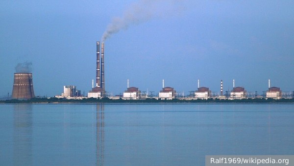     Фото: Ralf1969/wikipedia.org   
 Текст: Вера Басилая